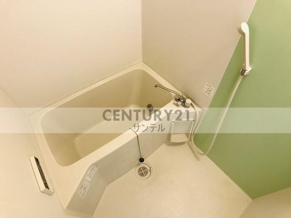 KoOlinaShiomi(バス)