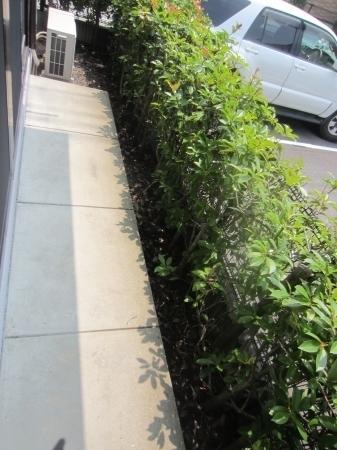 セジュールシャルマンB棟