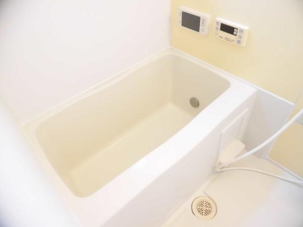 コルナス　ヒル　アイエフ