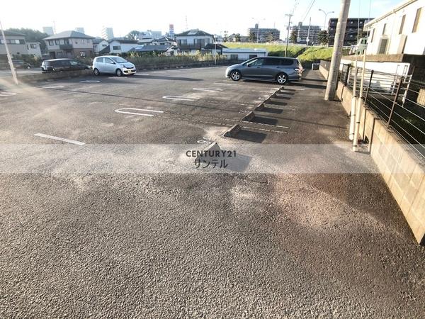 アンジェリーク