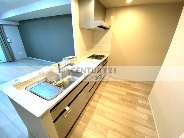 ザ・レジデンス大淀河畔