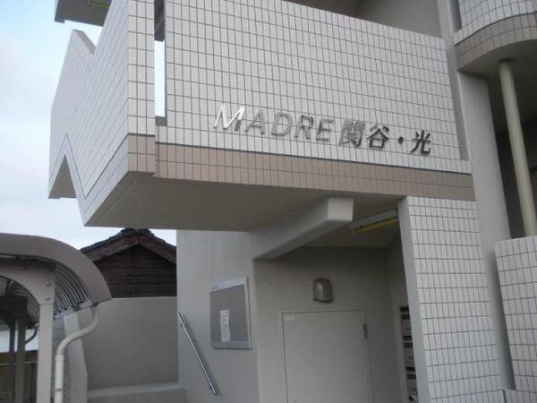 MADRE関谷・光