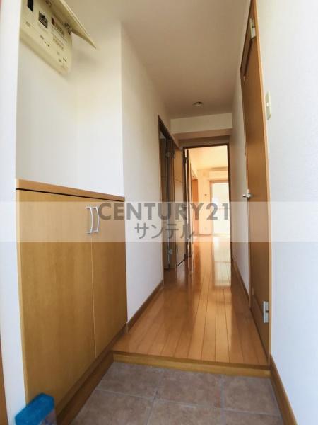 シャインフィルⅡ