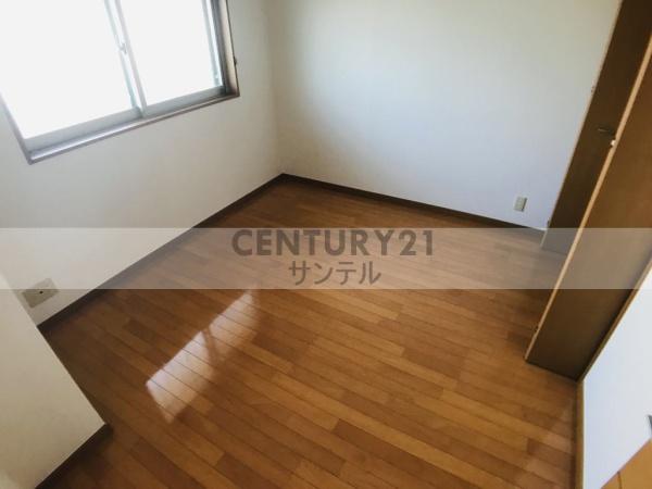 シャインフィルⅡ