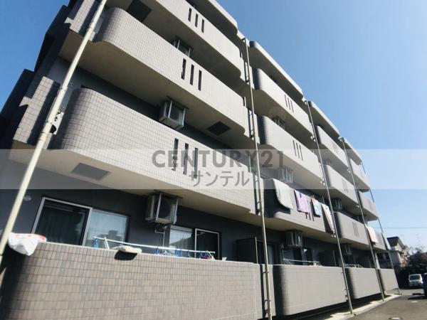 シャインフィルⅡ