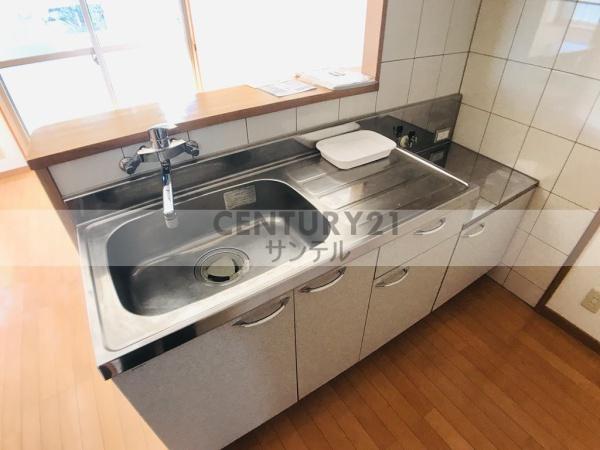 シャインフィルⅡ