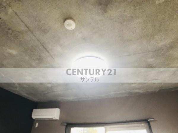アムールオルテ
