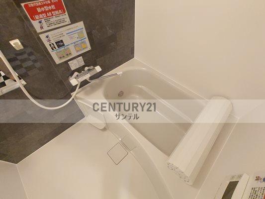 Nuoveconnessioni(バス)