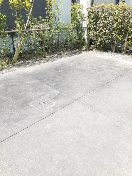 フォルムエクセレント　Ｂ
