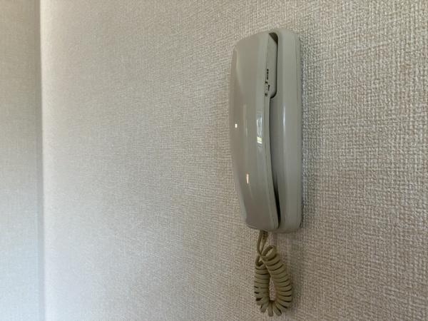 ウィルモア・Ｙ