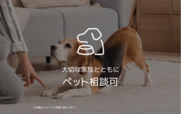 シャーメゾンエルソフィア