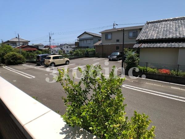 スイートアリッサム