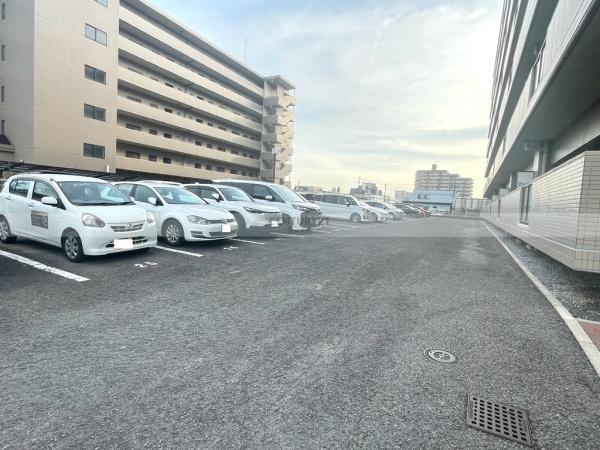 パストラル柳丸Ⅰ