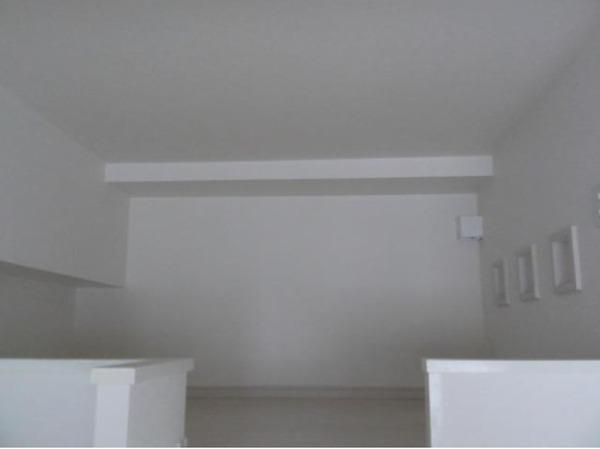 パロス　バーデス　APT