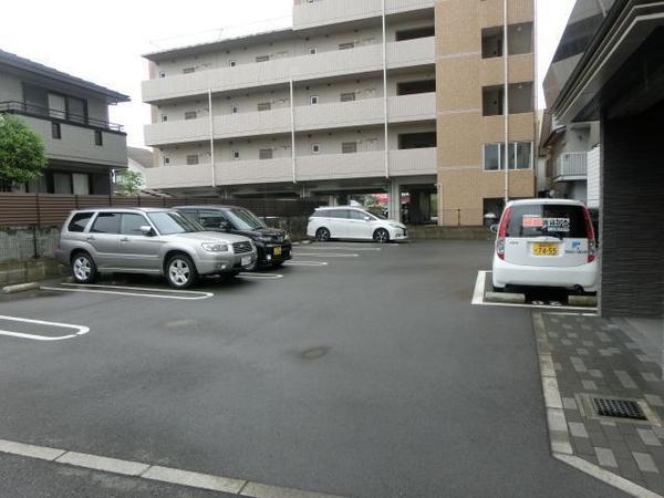 パロス　バーデス　APT