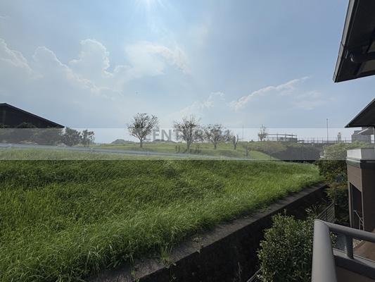 スターリー・スカイ(現地からの眺望)