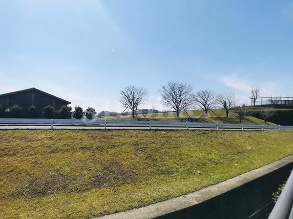 スターリー・スカイ(現地からの眺望)