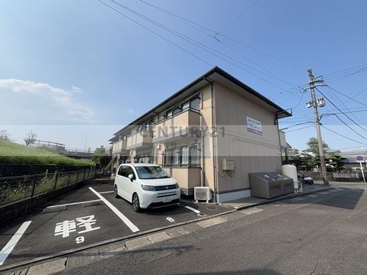 スターリー・スカイ(その他)