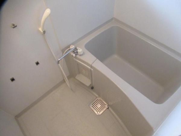 スターリー・スカイ(バス)