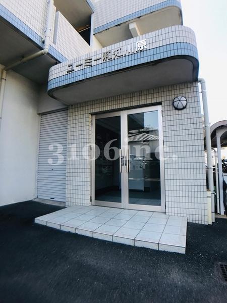 ユーミー和知川原