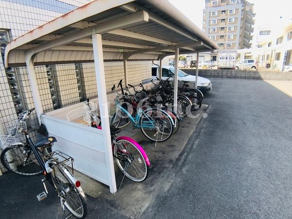 ユーミー和知川原
