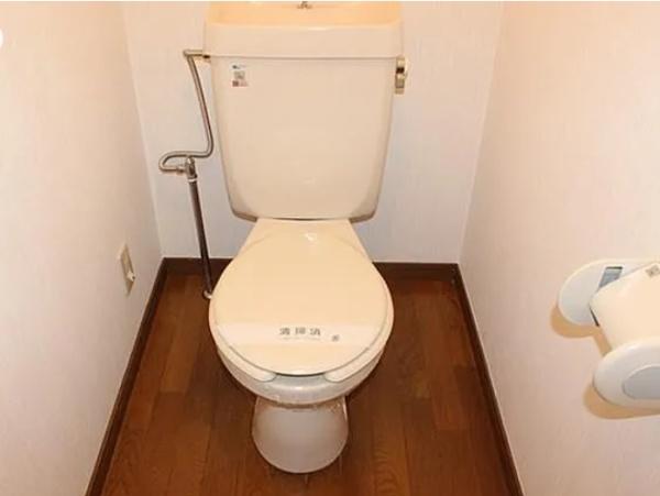 サンジェルマンⅢ