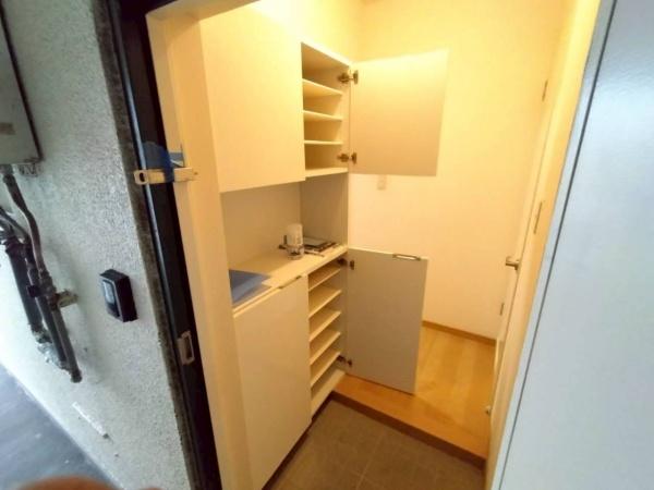 宮崎市江平西1丁目のマンション(収納)