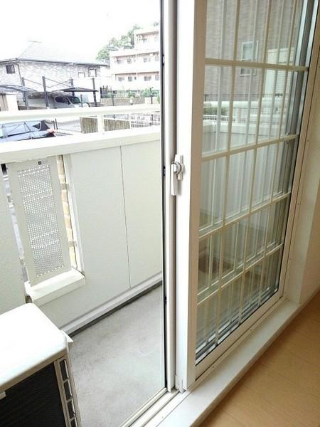 エヌ　プラシード