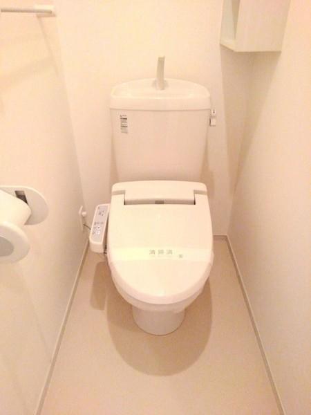 エヌ　プラシード