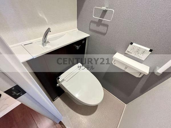 ピーノ　グランデ