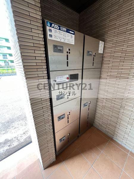 ピーノ　グランデ