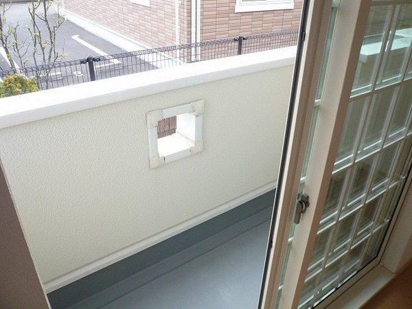 マリナ　デル　レイ