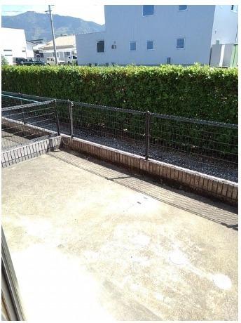 ニュー　ブライト