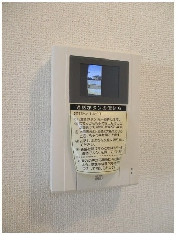グリーン　フォレスト