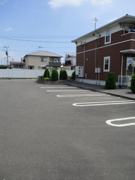 グリーン　フォレスト