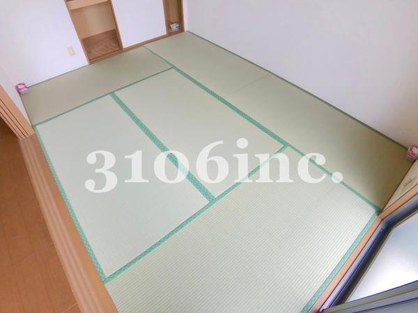 ウィルモア・Ｙ