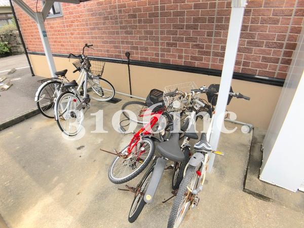 ウィルモア・Ｙ