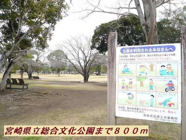 ラフィ－ナサイト２
