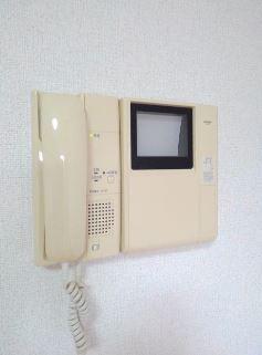 ラフィ－ナサイト２