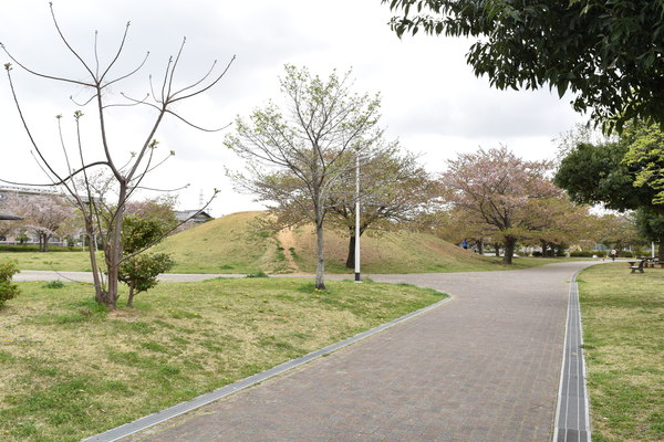 ル・リオン泉浜松市中央区泉3丁目1LDK仲介手数料0円(葵が丘公園)