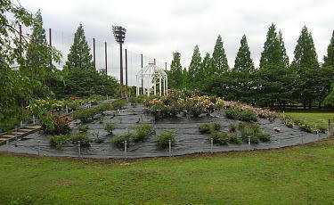 上尾市錦町の貸家(上平公園)