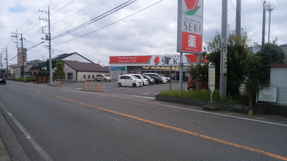 リモージュ指扇A棟(ドラッグストアセキ指扇店)