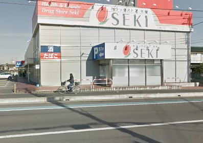 青木邸(ドラッグストアセキ上尾川店)