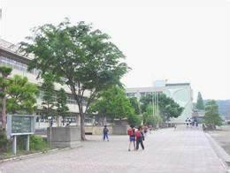 若松町貸家(東松山市立新宿小学校)