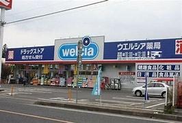 若松町貸家(ウエルシア東松山六軒町店)
