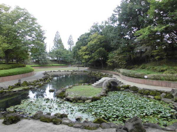 若松町貸家(五領沼公園)