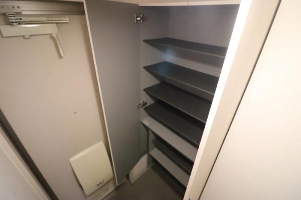 エアロドリーム