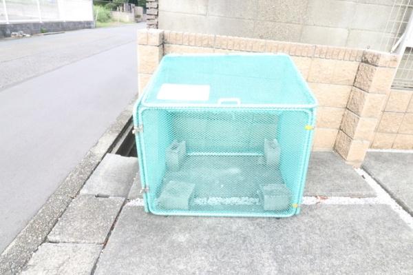 エアロドリーム