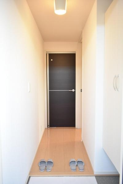 エアロドリーム