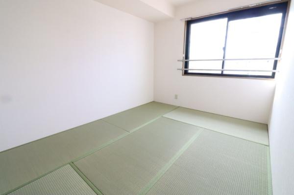 エコーハイツマルオカ